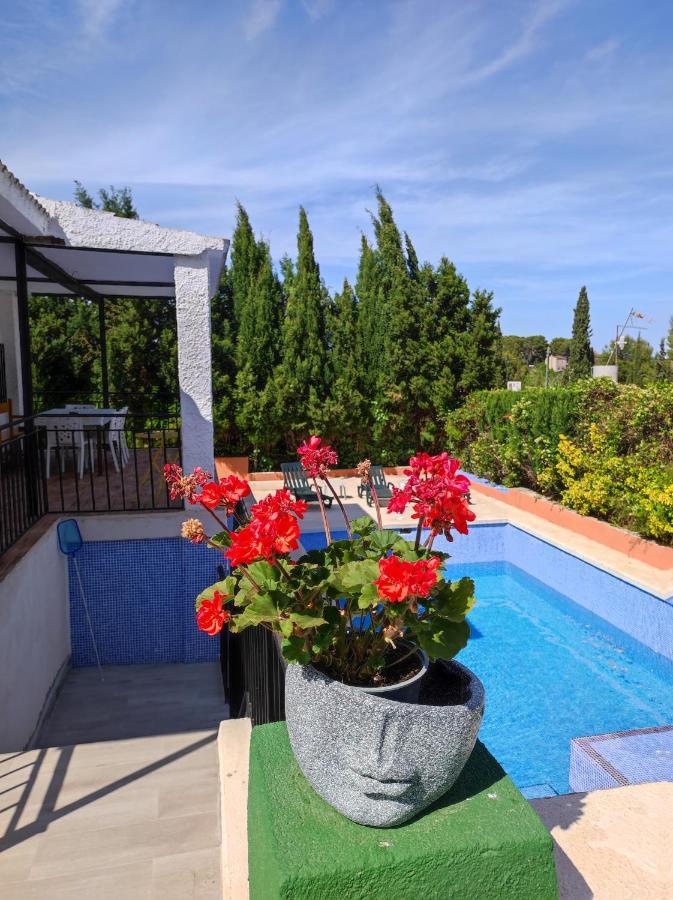 Lille En Provence Villa Valensiya Dış mekan fotoğraf